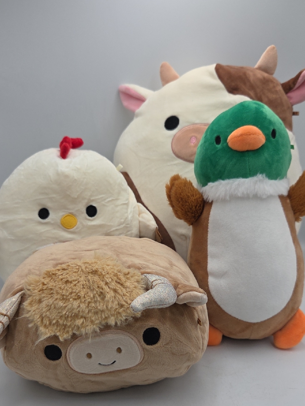Squishmallows Plush Set - D
